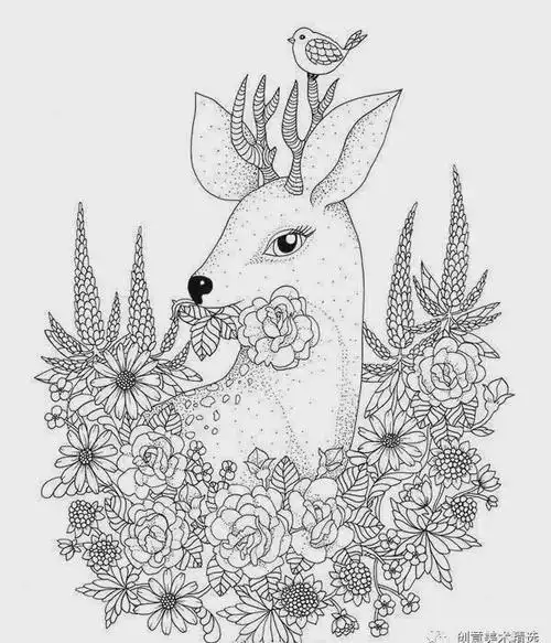 厉害了线描也疯狂动物黑白装饰画合辑