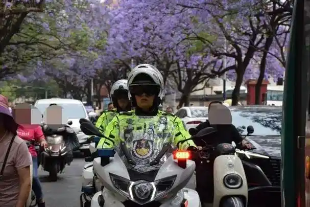 2024年"赏楹"季来啦!"荧光绿"为你守护"紫色浪漫"__