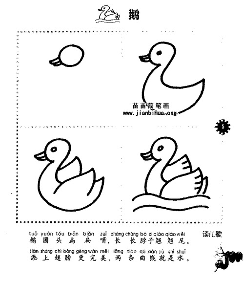 鹅简笔画 鹅简笔画图片