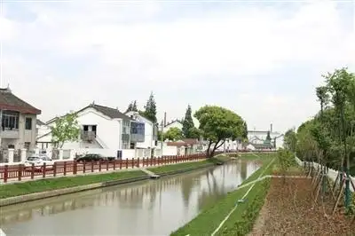 变革中的上海市闵行区马桥镇:城市化步步推进,但仍有原生态农村