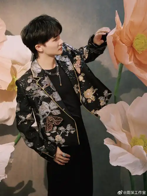 #周深声生不息##声生不息##声生不息家年华收官#