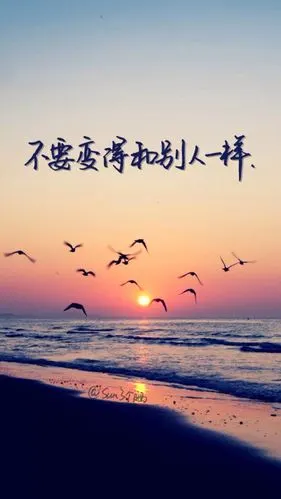 图片来自@sun了个晒,喜欢她的字,喜欢她的写字风格,情感语录 文字