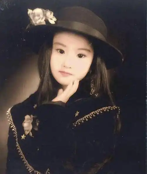 放弃婚姻和事业,若不是"天仙妈妈"刘晓莉,怎会有刘亦菲今天?