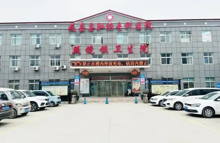 87台心电图机全覆盖,乐普助力获嘉县构建智慧县域"心电一张网"_财富号