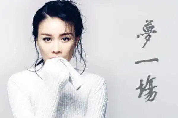 那英十大经典歌曲征服第一白天不懂夜的黑上榜