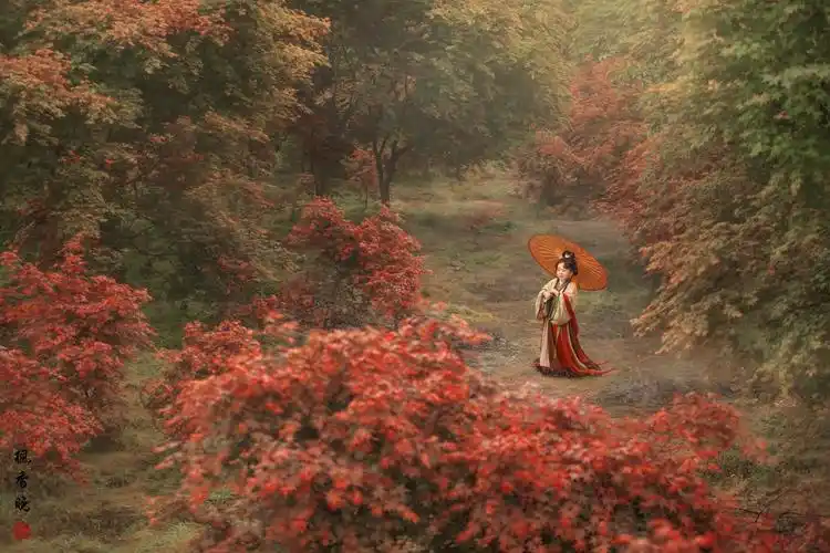 枫香晚 |最美的反季节枫叶93_人像_poco摄影,儿童摄影,古风人像