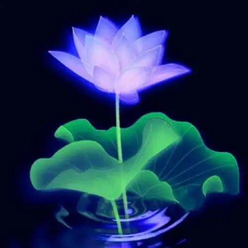 微信头像图片2021好运 2021能带来好运的微信头像图片_风水头像_美头