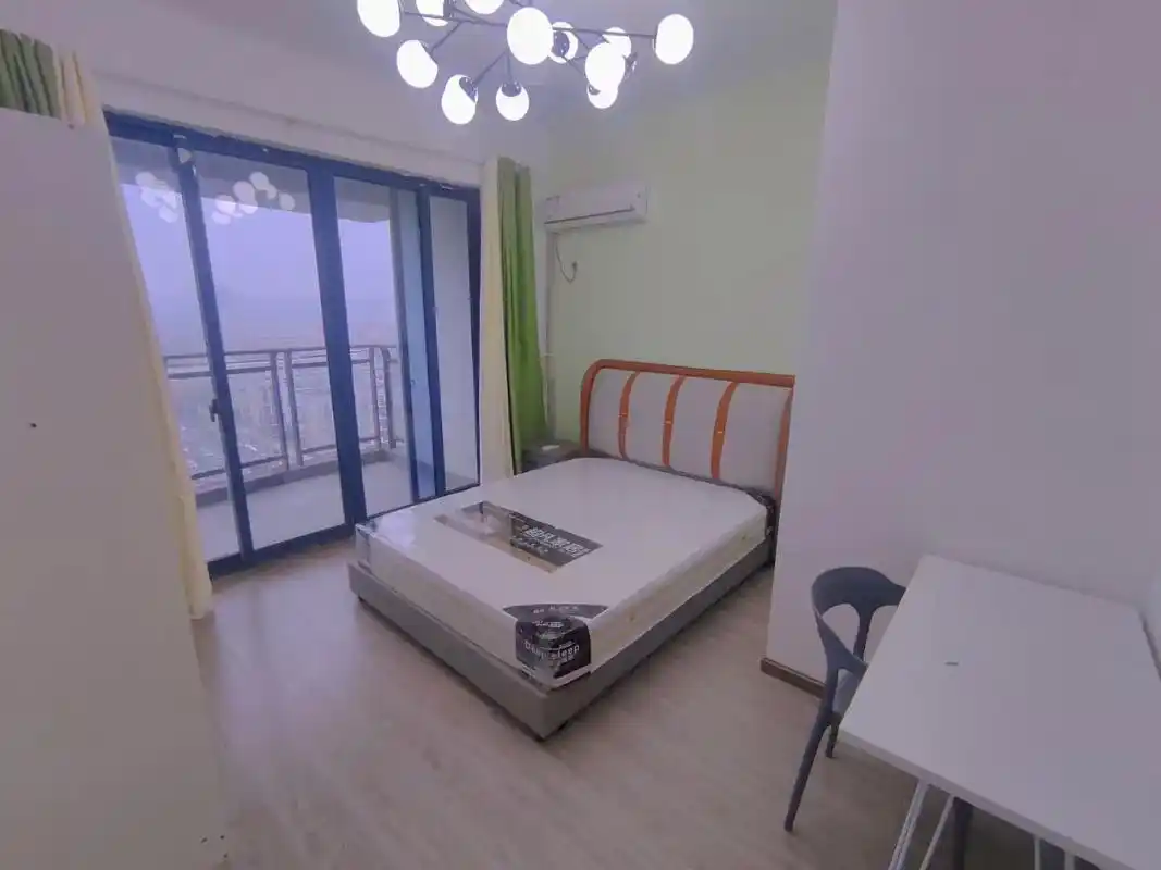 福雷德小区一室一厅一厨一卫全新装修朝南