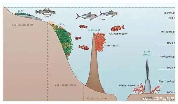 深海|地球|太平洋|北冰洋|马里亚纳海沟_网易订阅