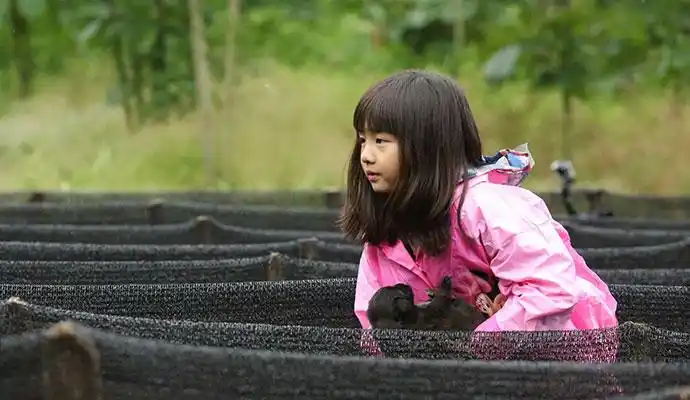 黄忆慈期末成绩优异英语超棒继承父母学霸基因