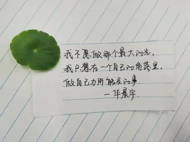 手写华晨宇语录