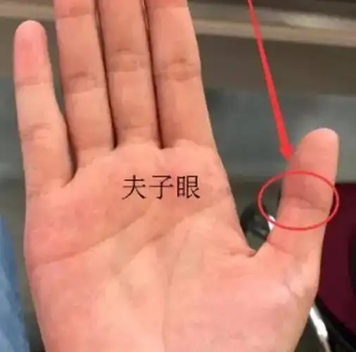 凤眼纹和佛眼纹的区别有仙缘的手相