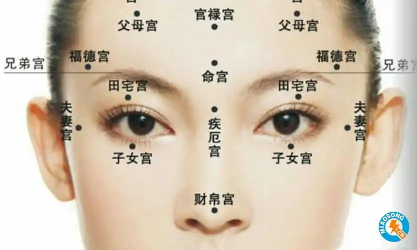 面相风水:充满福气的特征?