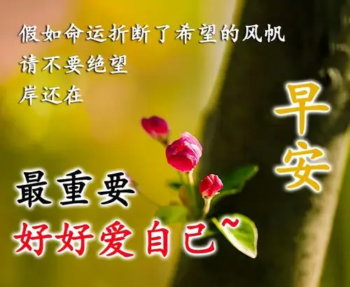 原创早安祝福语动态美图清早问候大家的早上好的漂亮图片