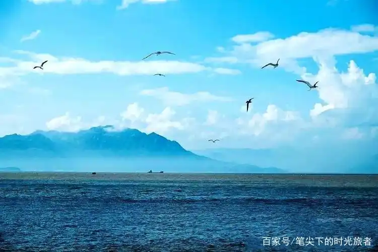 行走在海上的草原中国最美十大海岛之一嵛山岛360度无敌海景