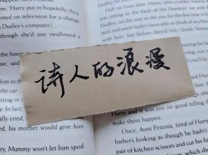 文豪的浪漫至死不渝手写