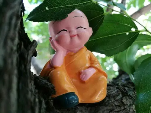 小和尚不在禅堂打坐