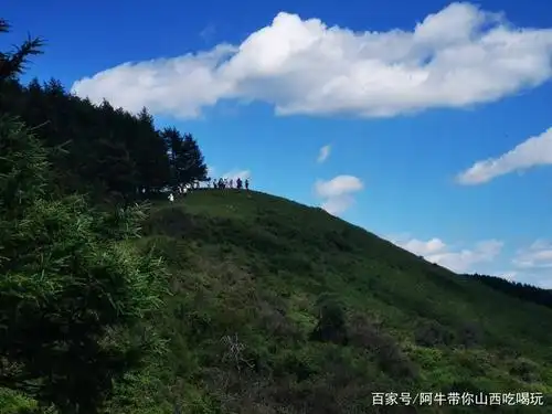 岚县饮马池高山草甸虽然是小众景点但风景不输windows桌面背景