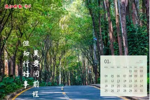 你好2021新年第一份礼物已为您备好点击开启