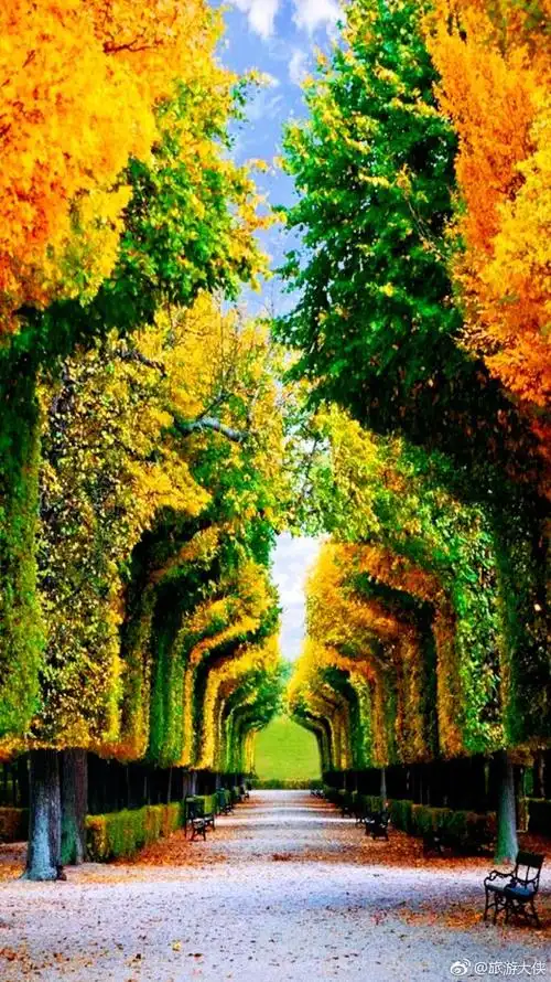 一件代发外贸5d钻石画厂家满钻客厅向日葵风景画diy圆钻方钻供货