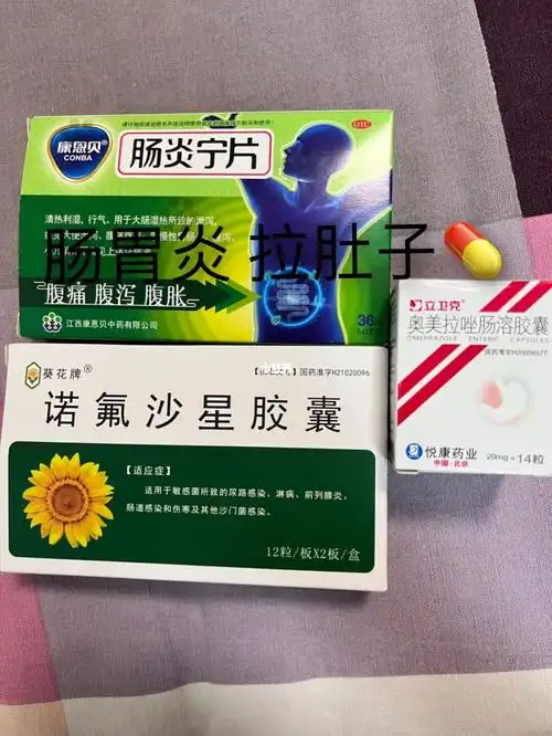 个人经验分享:肠胃炎 肠炎 胃炎 拉肚子用药