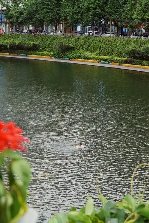 发现一个在河里游泳的小孩