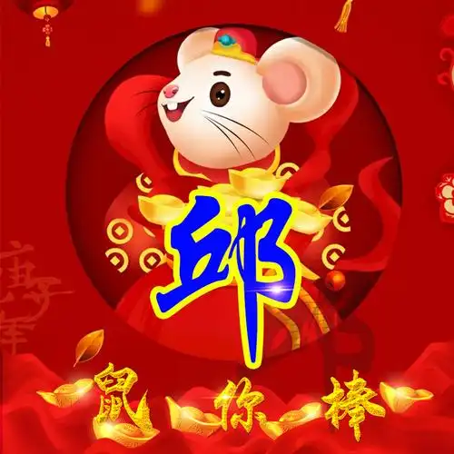 编号1575,2020鼠年大吉,30个姓氏-微信头像,百家姓氏微信头像,名字