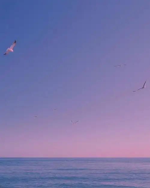 可做背景图用蓝紫天空 - 堆糖,美图壁纸兴趣社区