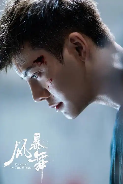 电视剧风暴舞