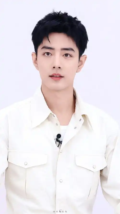 蓬勃的栗子头,尖尖的精灵耳,贝壳一样的兔牙,肖战的美从来都是灵动得