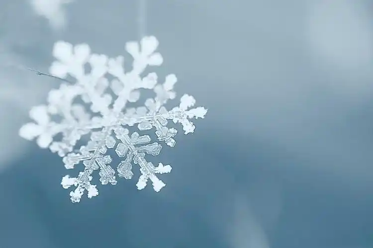 冬天雪花二十四节气立冬小雪大雪冬至小寒大寒