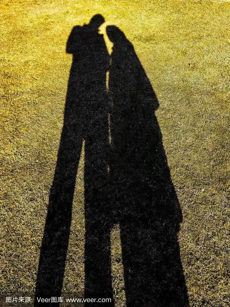 一个男人和一个女人在花园里牵手的影子.