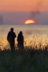 海边夕阳情侣一对情侣在海边散步看夕阳的剪影照片