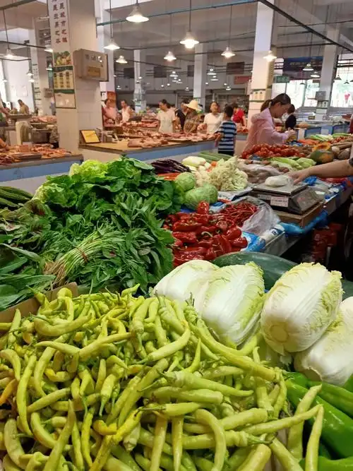 告诉我,我身上肩负着一个关乎全家福祉的新任务,那就是——帮家里买菜