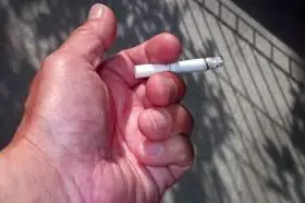 烟图片大全共203张