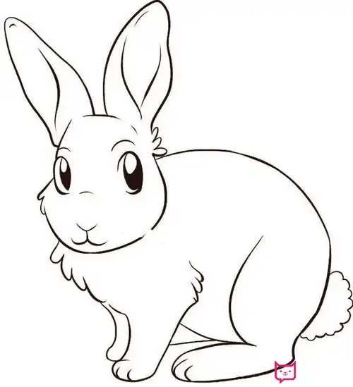 画小兔子的简笔画