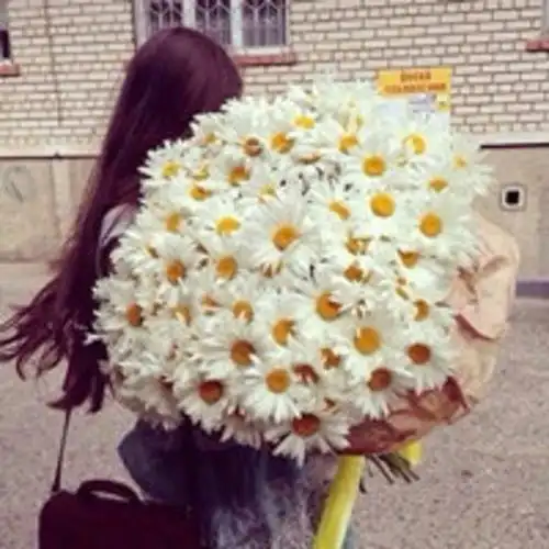 50l女头背影丨你曾是我心上的伤口,我曾放下全世界,可 .