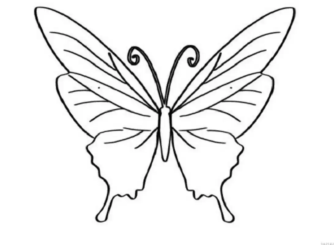 91春天蝴蝶03风筝9315打印素材