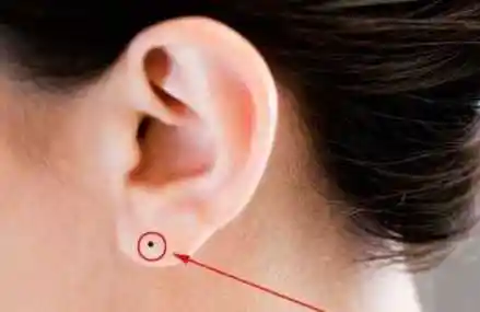 耳垂外翻.面相(耳垂外翻人的男命运),耳垂外翻 面相