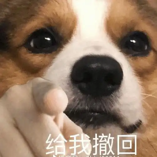 谁有二哈指人的表情包? - 知乎