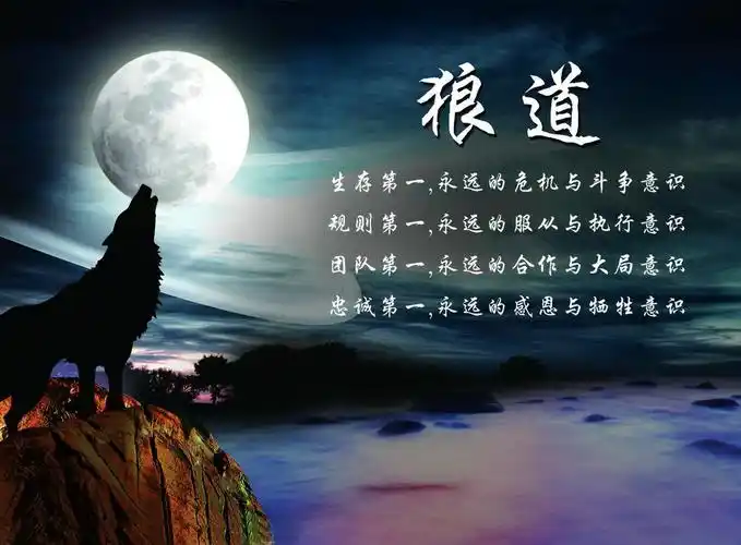 99%的人不知道的智慧,却是狼道智慧中最基础的智慧