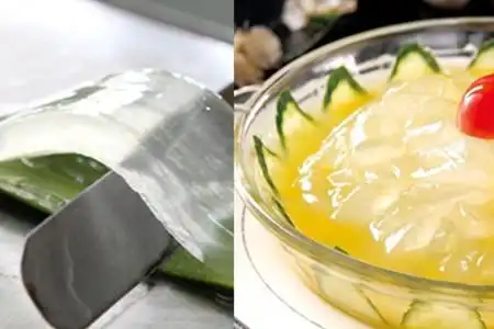 【图】芦荟怎么吃 老中医教养生的吃法