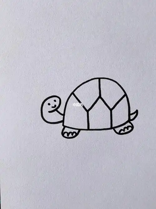 乌龟简笔画