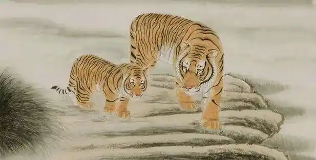 可以是个的家庭属狗和属马的合不合才 属兔的老板和属虎属兔和属虎的