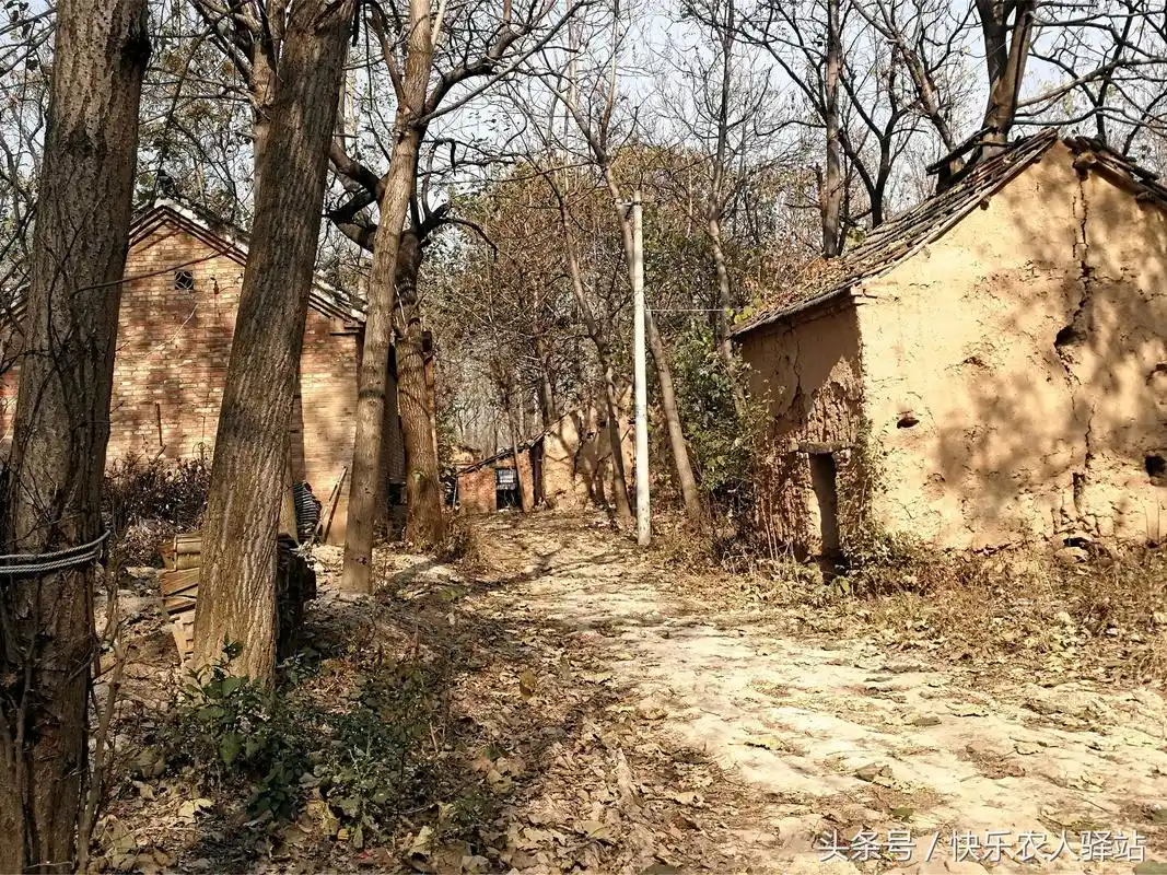 朋友圈晒了一组农村老家图,城里女友看到不淡定了