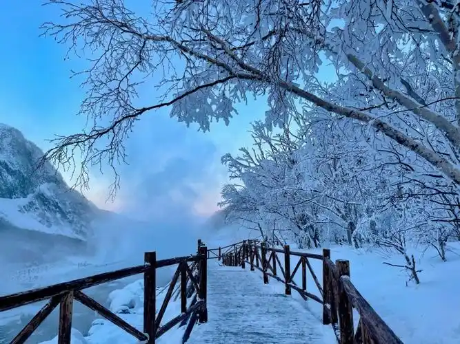 虽然冬季看天池不是最好的季节 但是长白山上沿途的风景真的像仙境一