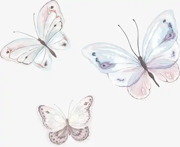 手绘蝴蝶矢量图