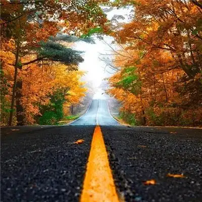 成熟男人微信头像风景2019 风不识路才会没有归宿