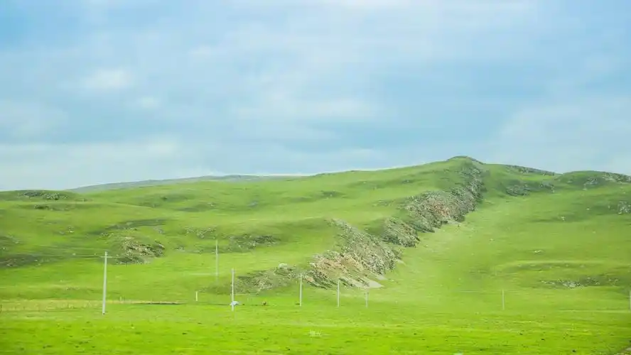 一看就让人舒心的绿色呀