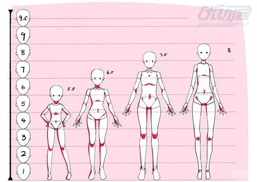 女性身体比例篇